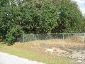 SE 101 Ter., Summerfield, FL 34491