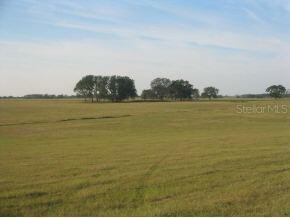 SW 140 Ave., Ocala, FL 34481