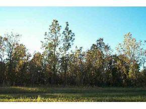 SW 125 Ct Rd., Ocala, FL 34482