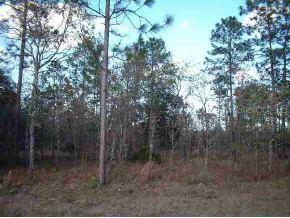 SW 165 Ave Rd., Ocala, FL 34481