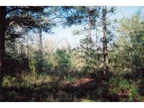 SW 29 St., Ocala, FL 34488