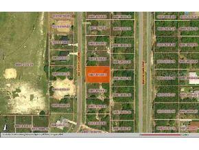 SW 142 Pl Rd., Ocala, FL 34473