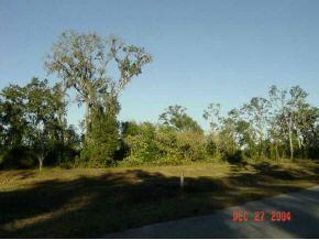 NW 45 St., Ocala, FL 34482