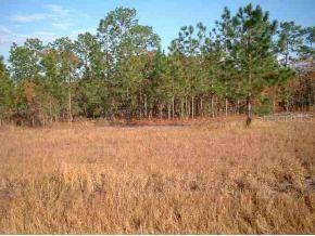 SE Oak Lane Cir., Ocala, FL 34472