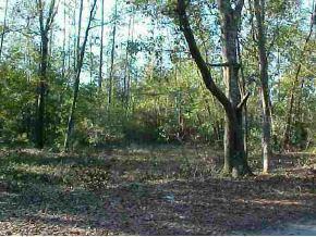 NE 226 Null St., Orange Springs, FL 32182