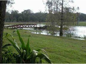 1575 S Cr 246, Oxford, FL 34484