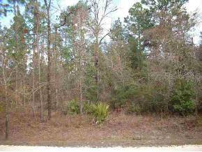 SW 22 Ln., Ocala, FL 34481