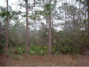 SW 165 Ave Rd., Ocala, FL 34481