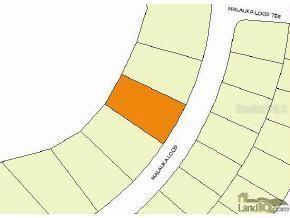 246 Malauka Loop, Ocklawaha, FL 32179