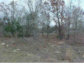 SE 115 Pl Rd., Ocklawaha, FL 32179