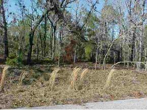 Oak Rn Tr., Ocklawaha, FL 32179