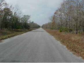 SE 113 St/fisher Rn, Ocklawaha, FL 32179