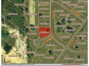 Guava Trk, Ocklawaha, FL 32179