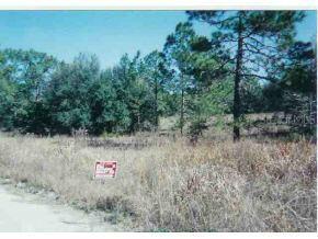 SW 143 Ave., Ocala, FL 34481