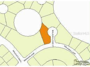 246 Malauka Loop, Ocklawaha, FL 32179