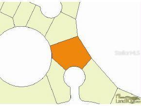 246 Malauka Loop, Ocklawaha, FL 32179