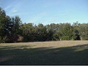 4636 SW 87 Ter., Ocala, FL 34481