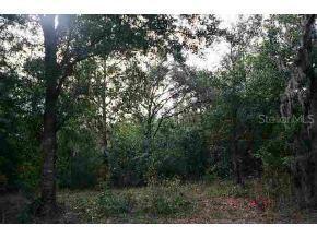 NE 126, Bronson, FL 32621