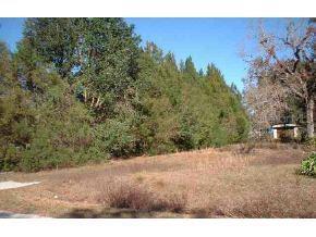 SE 148 St., Summerfield, FL 34491