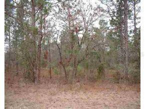 SW 165 Ave Rd., Ocala, FL 34481