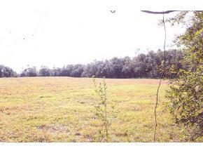 NW Highway 326, Ocala, FL 34482