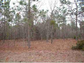 SW 168 Ave., Ocala, FL 34481