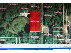 SE 186 Ct., Ocklawaha, FL 32179