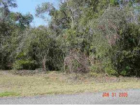 SW 71 St Ct., Ocala, FL 34476