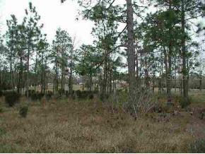 NE 58 St., Bronson, FL 32621