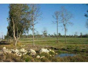 15600 NW Highway 316, Ocala, FL 34482