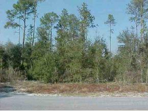 SW Shorewood Dr., Dunnellon, FL 34431