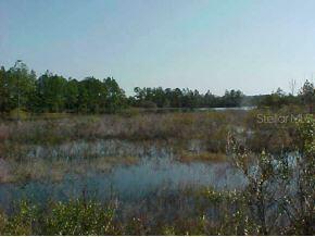 Malauka Ps, Ocklawaha, FL 32179