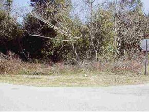 SE 138 Pl., Summerfield, FL 34491
