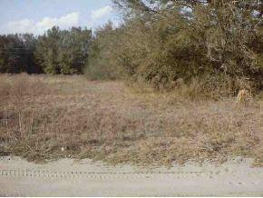 SE 143 Pl., Summerfield, FL 34491