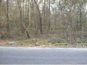 SE 130 St., Belleview, FL 34420