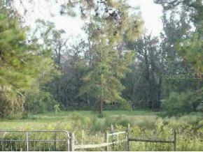 12980 SE 47 Ave., Belleview, FL 34420