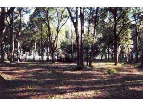 Highway 42, Summerfield, FL 34491