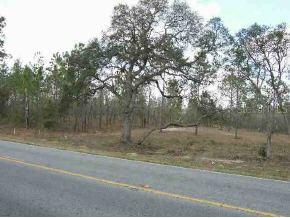 Highway 328, Ocala, FL 34482