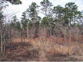 SE 26 St., Morriston, FL 32668