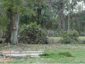 13175 SE 110 Ct., Ocklawaha, FL 32179