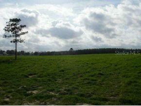 SE 160 Ave., Morriston, FL 32668