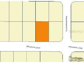 Malauka Loop, Ocala, FL 34472