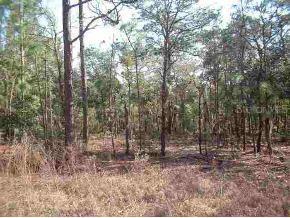 SW 157 Ter., Ocala, FL 34482