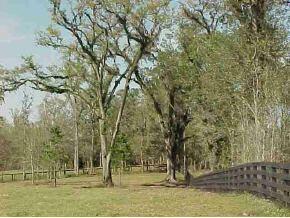 12005 NW 35th St., Ocala, FL 34482