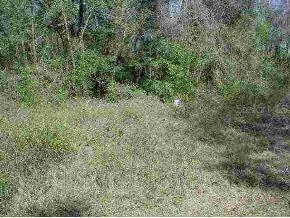 NW 123 Ln., Citra, FL 32113