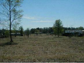 SE 172 St., Summerfield, FL 34491