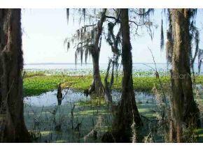 15612 SE Us Highway 301, Lochloosa, FL 32640