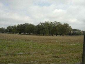 SE 23 Pl., Morriston, FL 32668