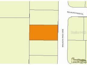 Malauka Crse Pass, Ocklawaha, FL 32179