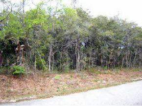 Locust Terr Way, Ocala, FL 34472